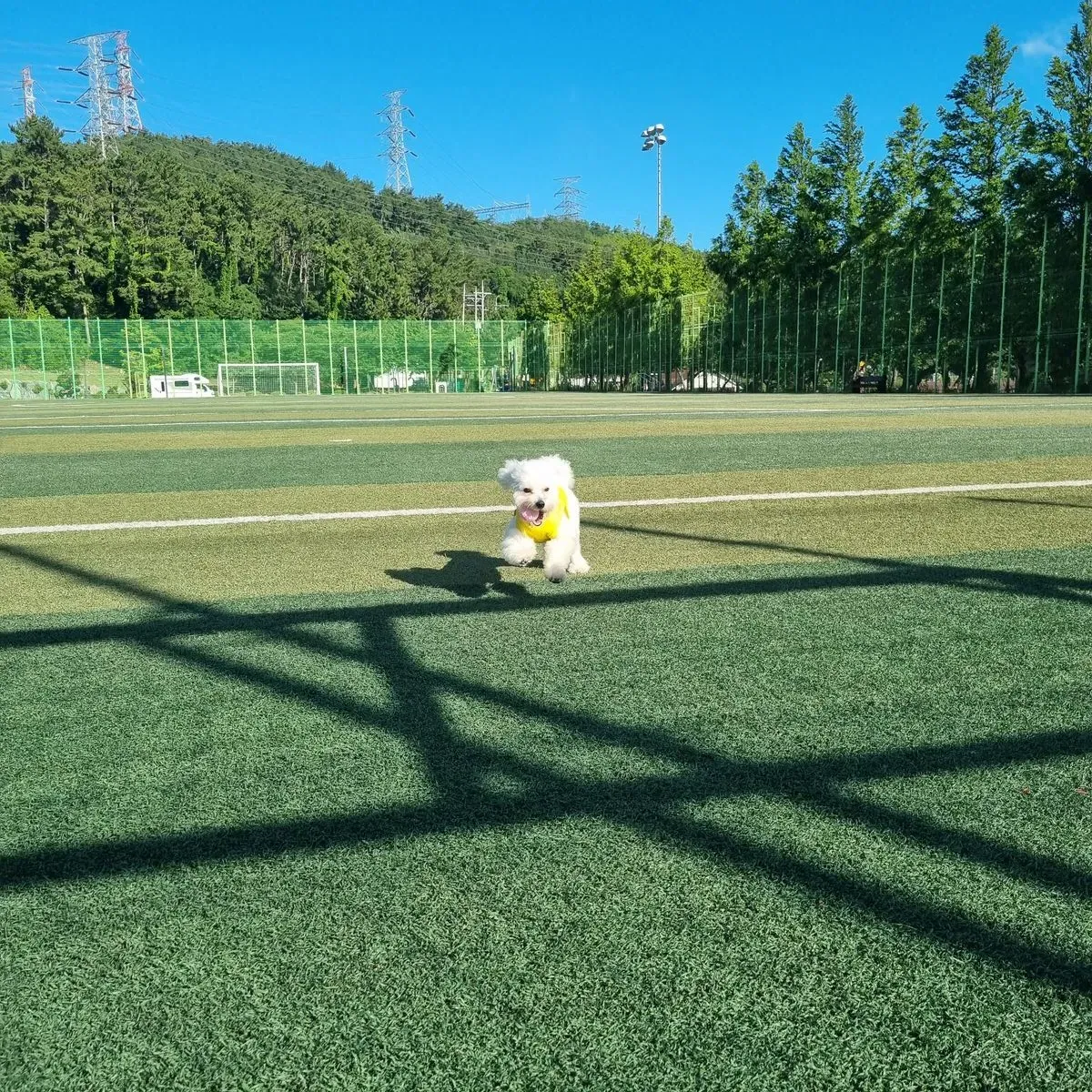 이미지 3