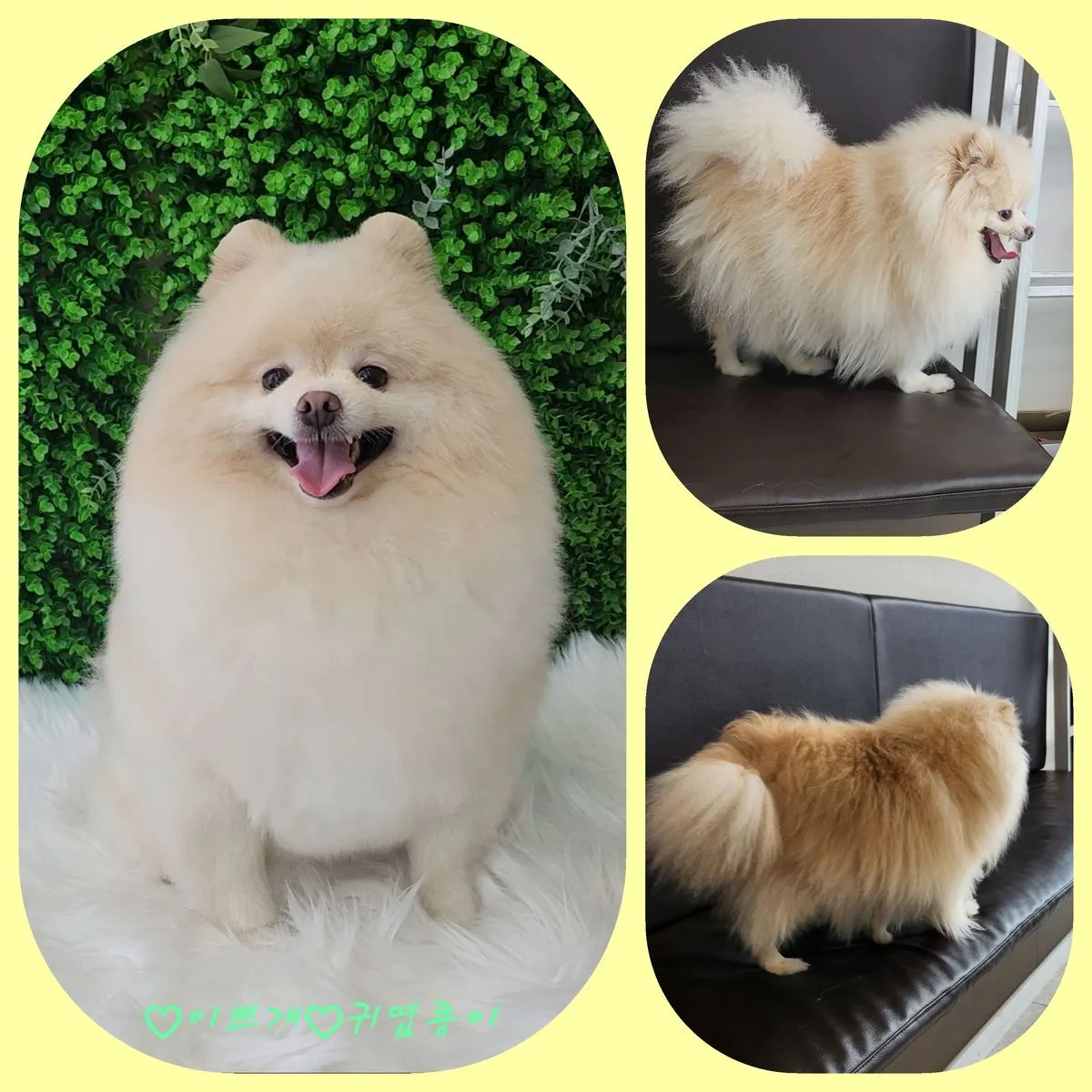이미지 6