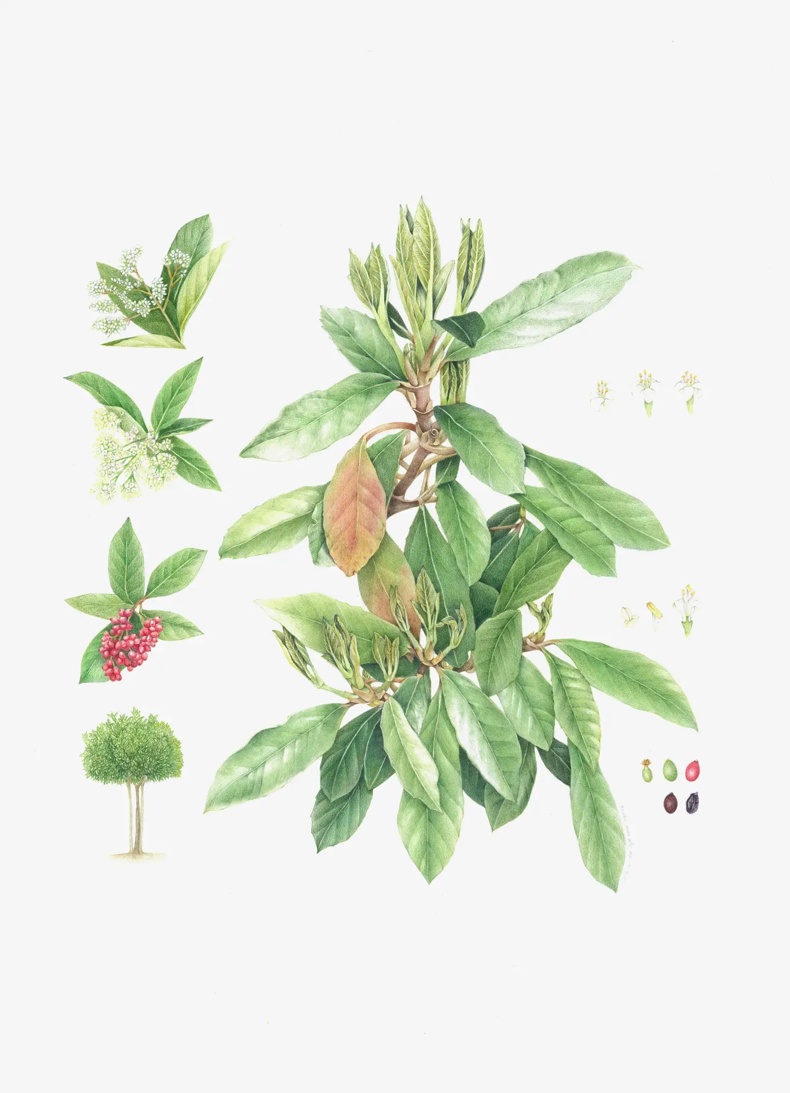 이미지 9