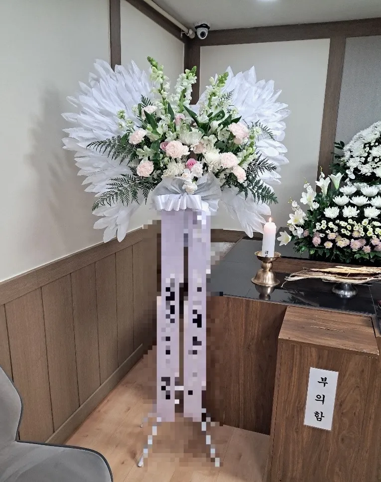 이미지 3