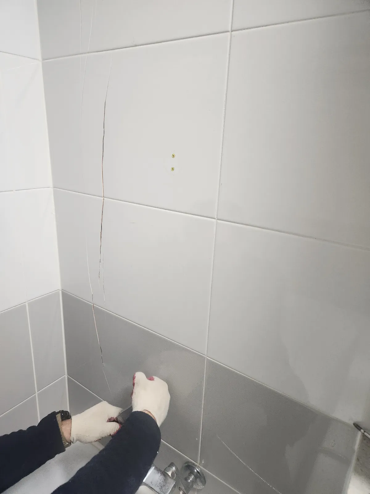이미지 20