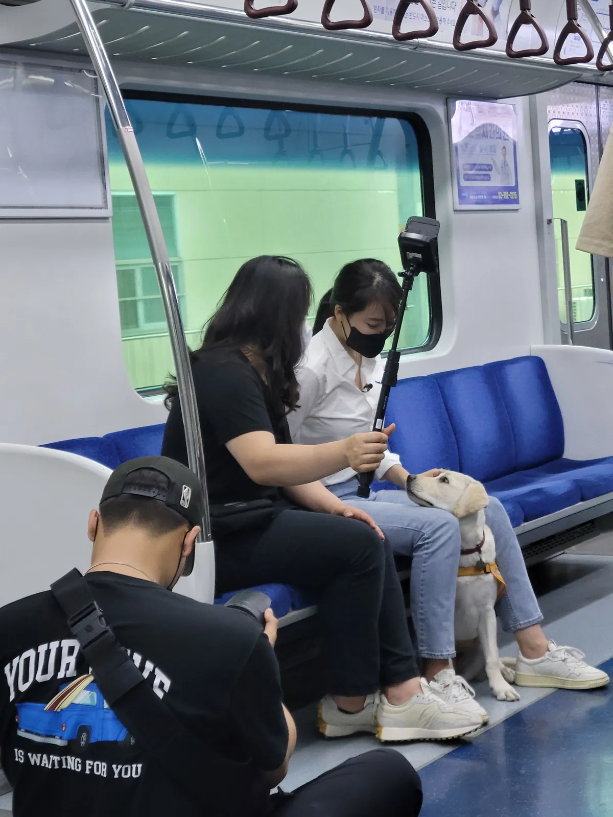 이미지 6
