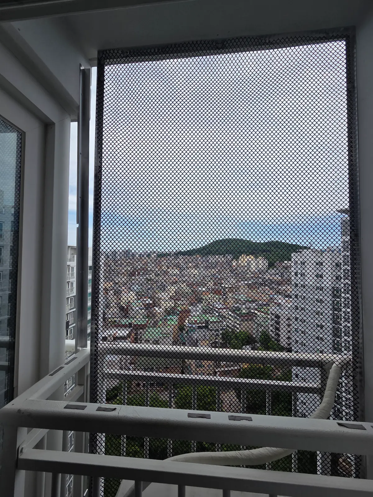 이미지 14