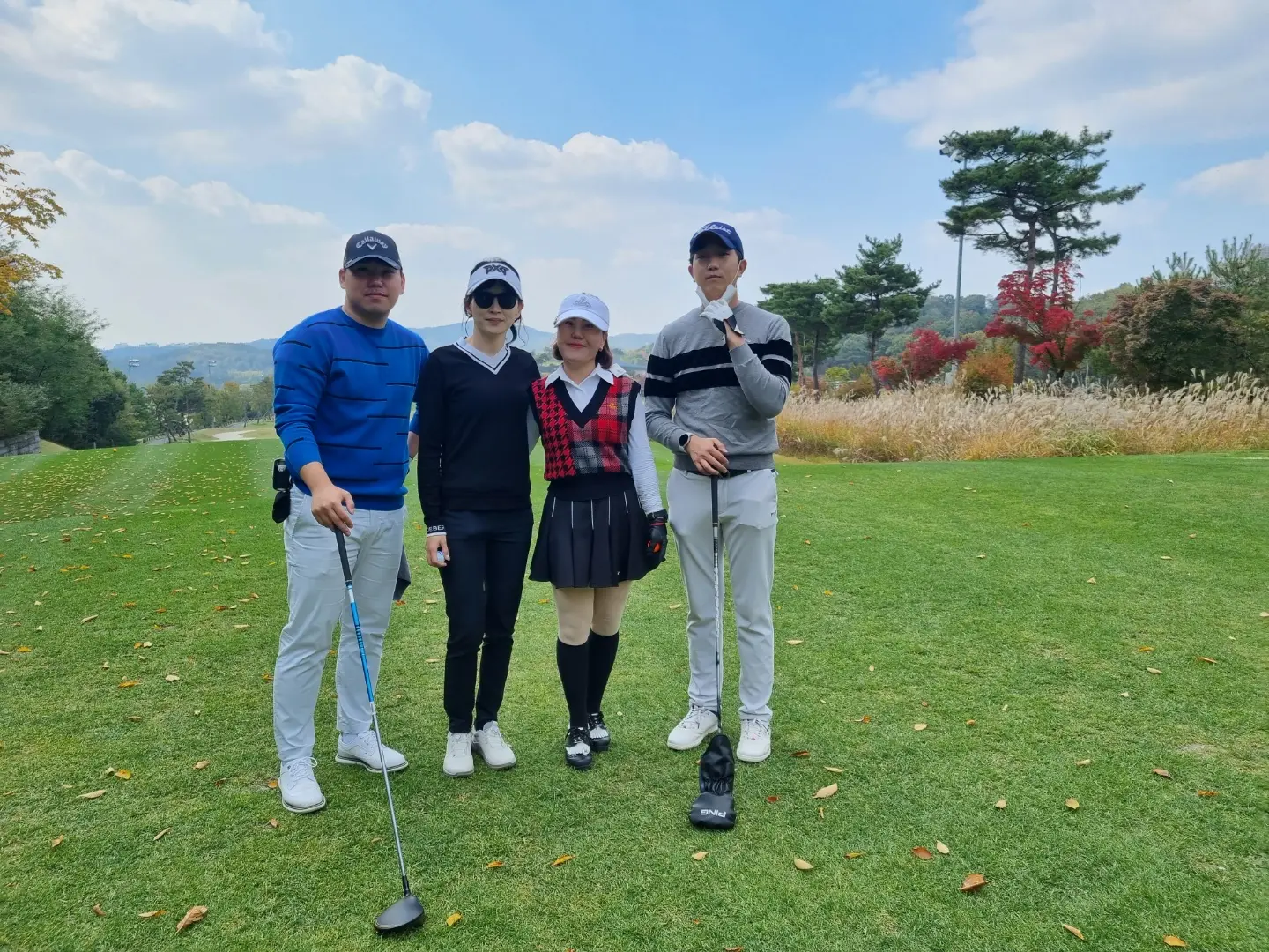 이미지 5