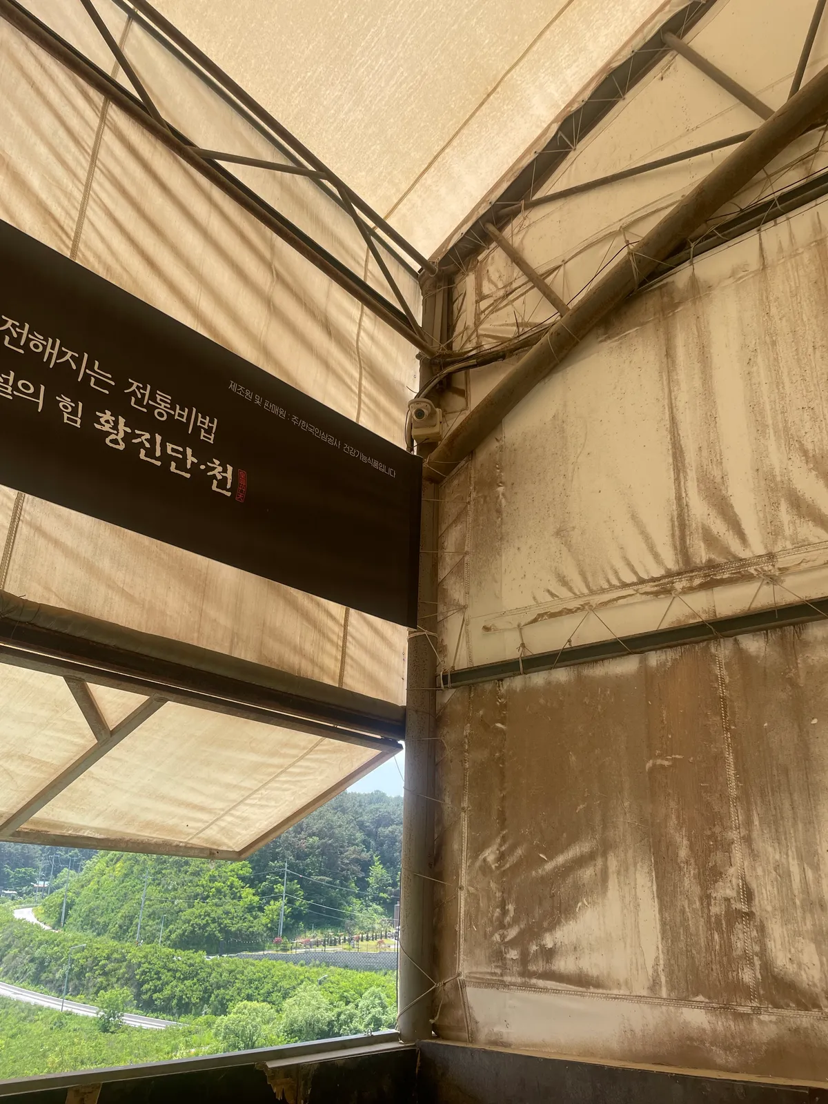 이미지 10