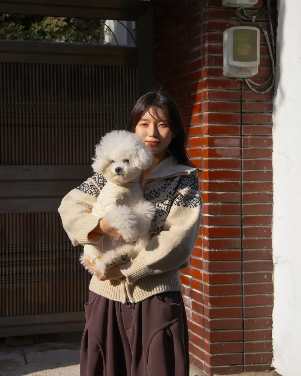 이미지 14