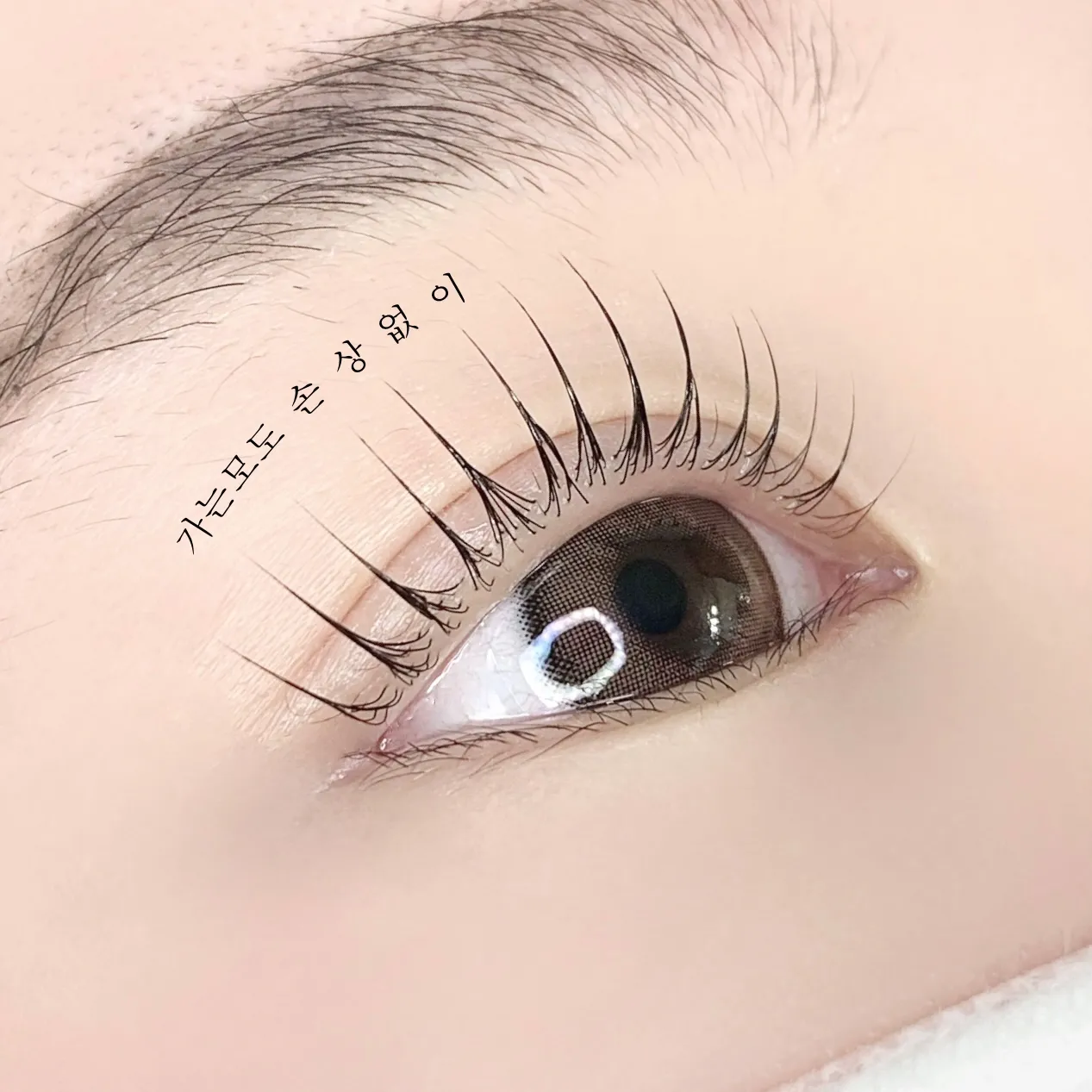 이미지 9