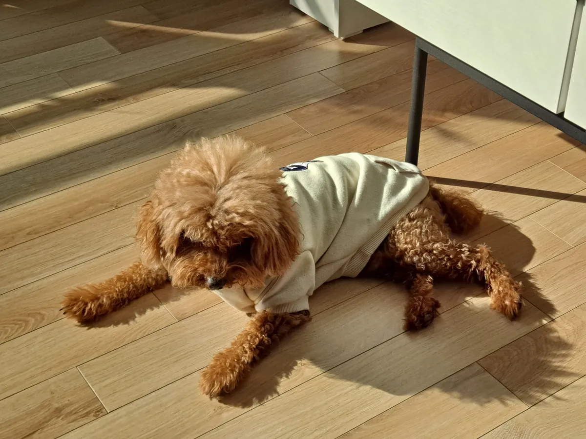 이미지 5
