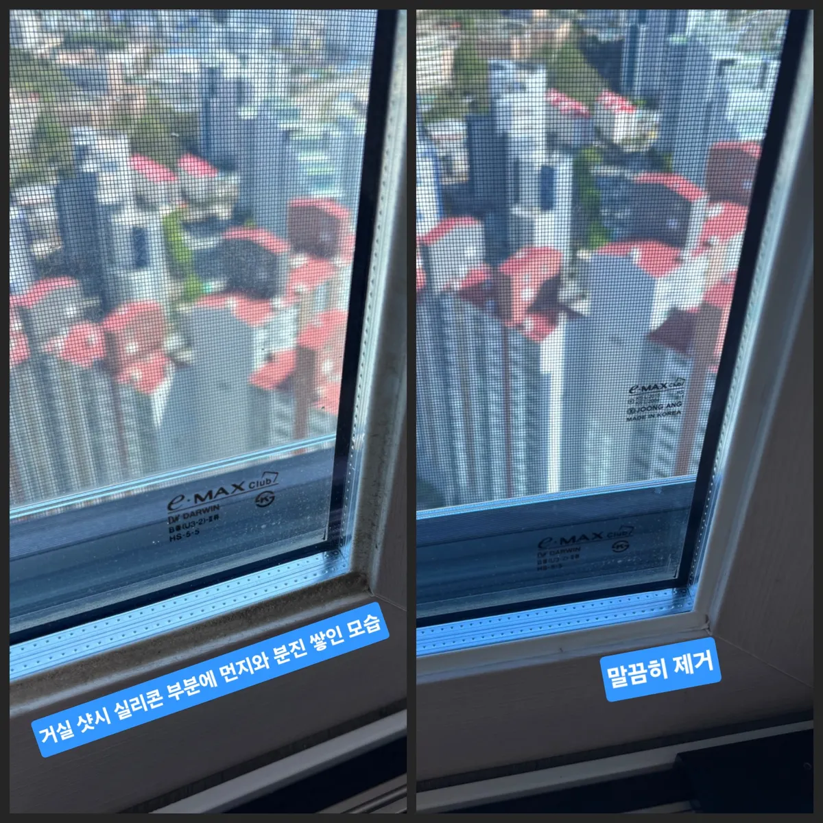 이미지 10
