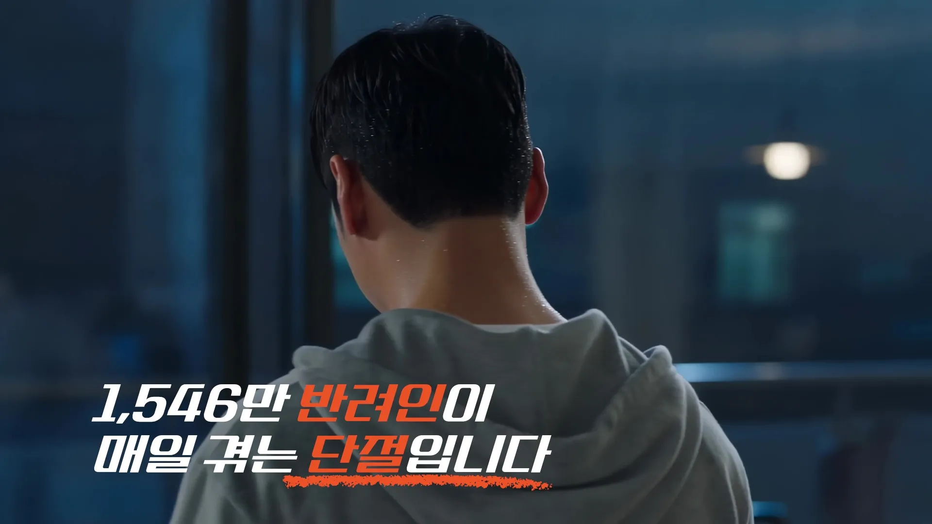 이미지 6