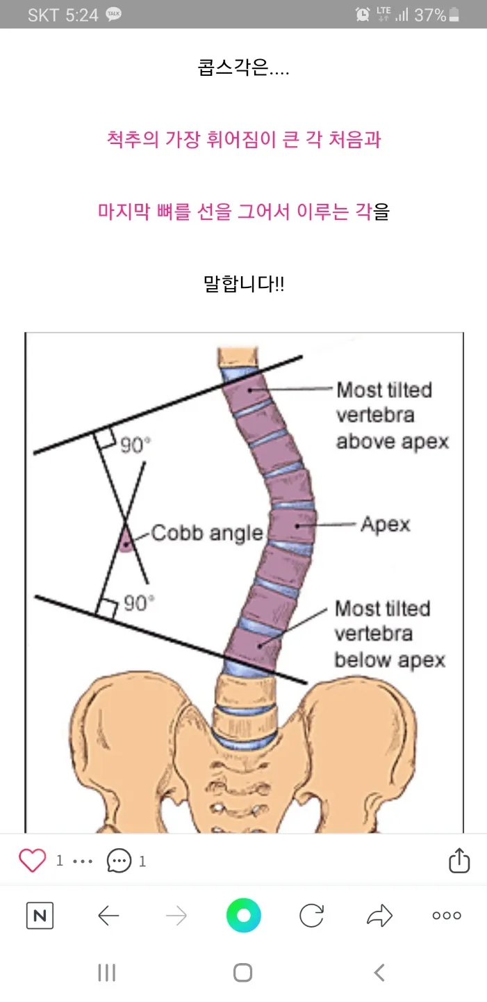 이미지 5