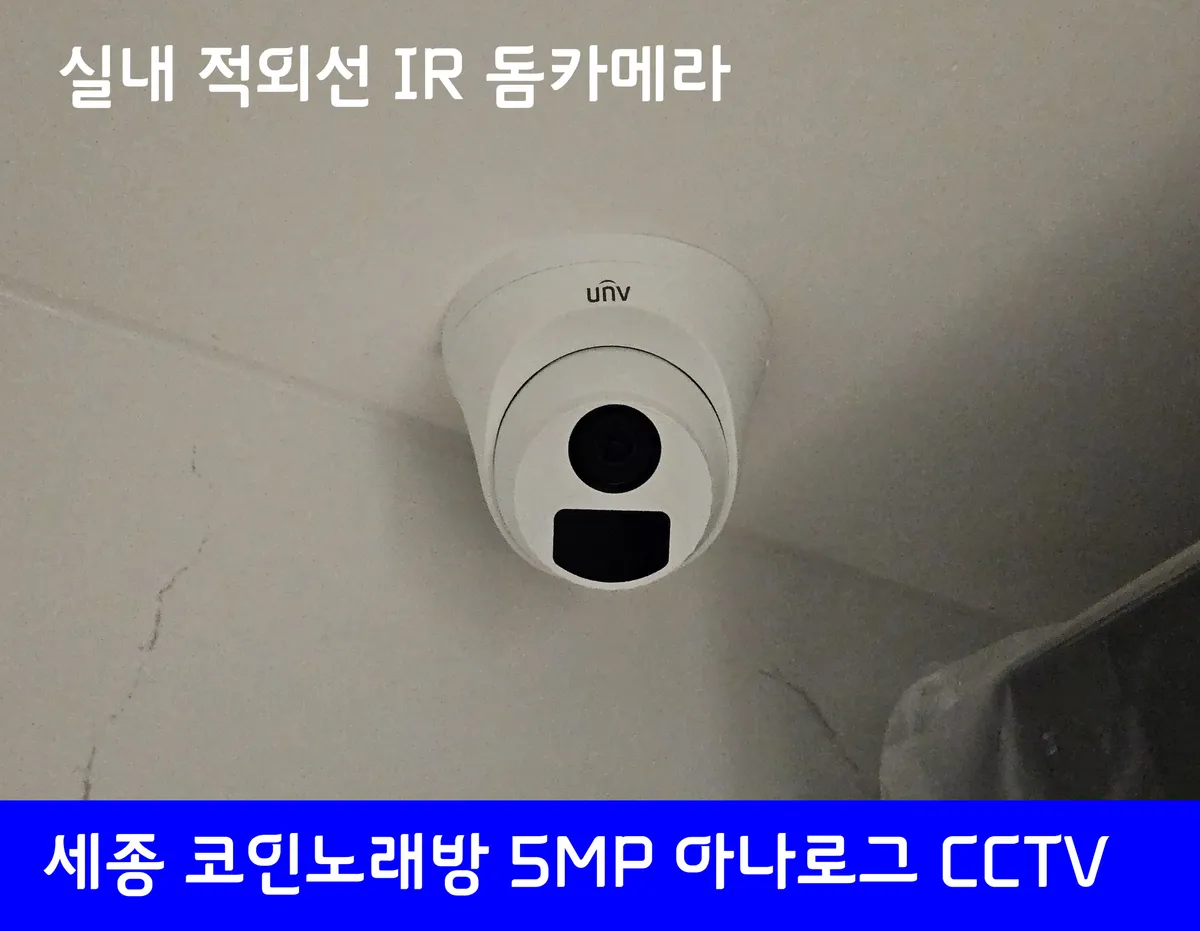이미지 12