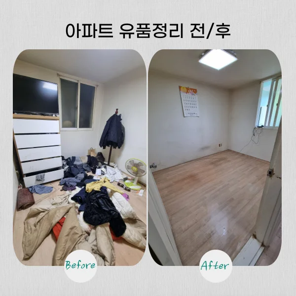 이미지 4