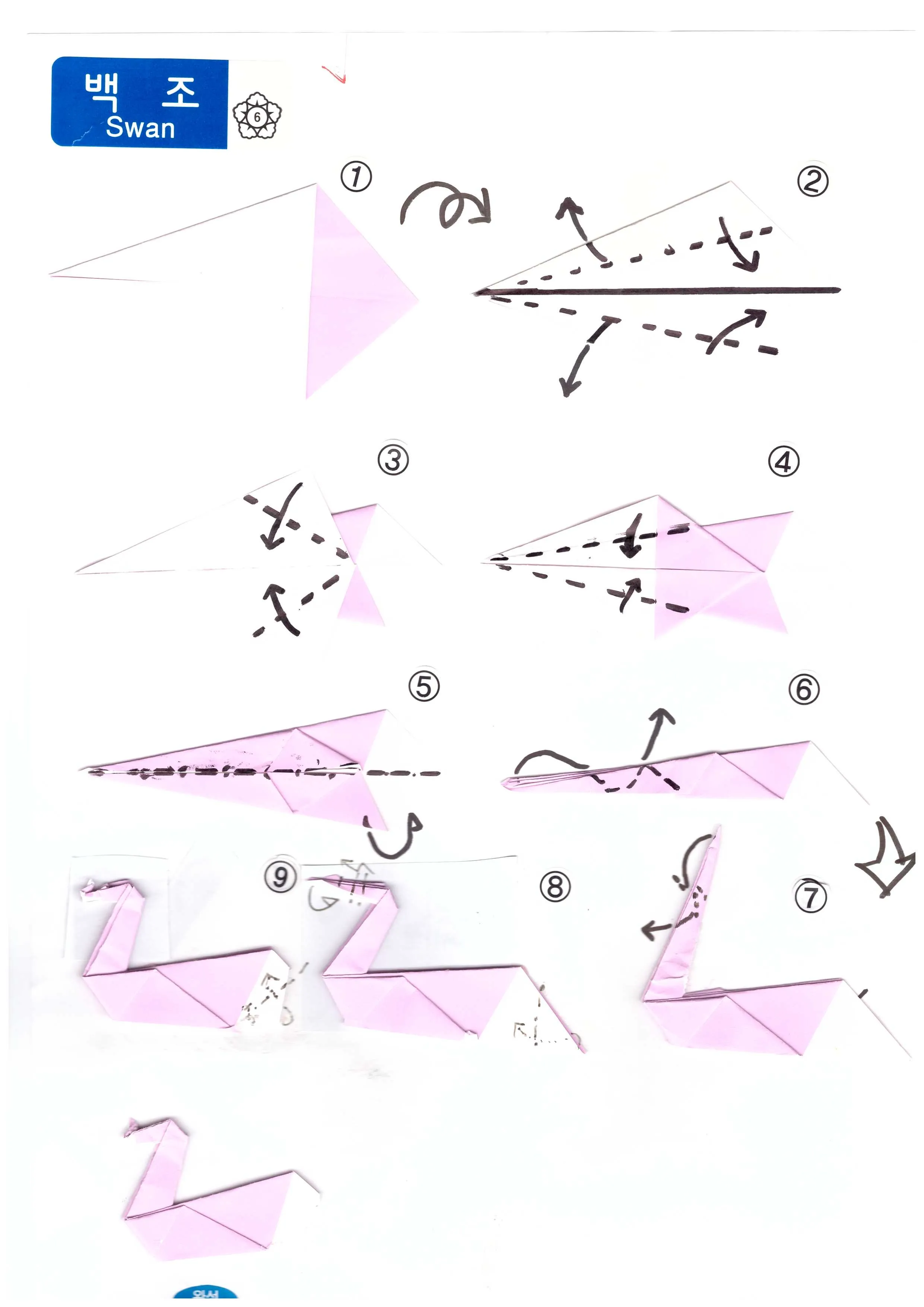 이미지 8