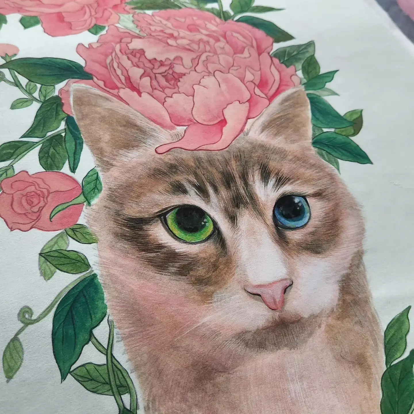 포트폴리오 이미지