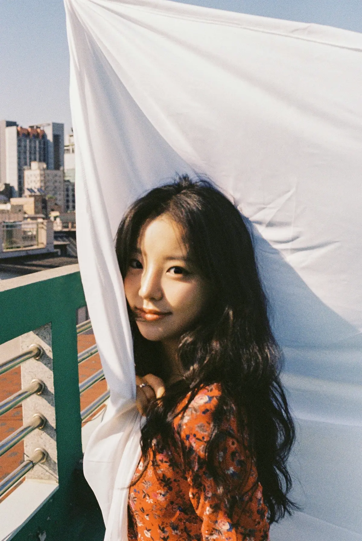 이미지 3