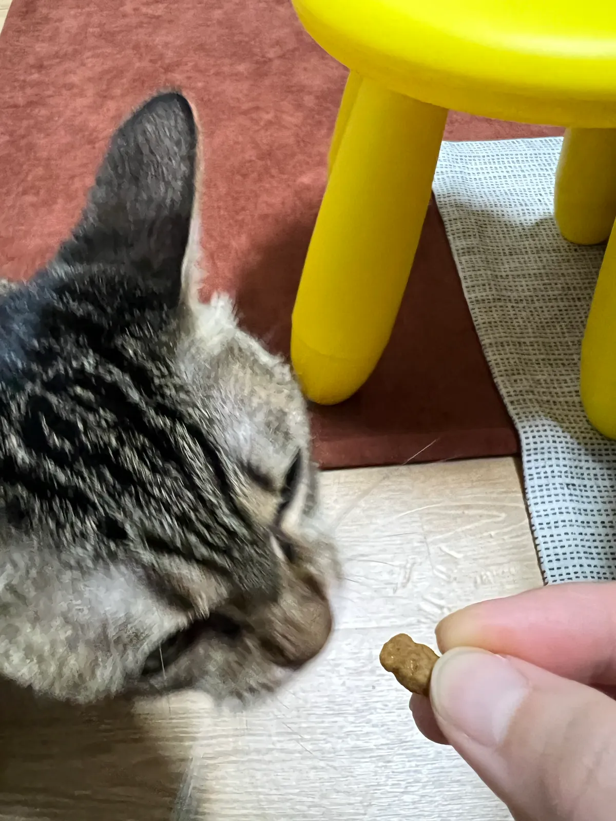 이미지 7