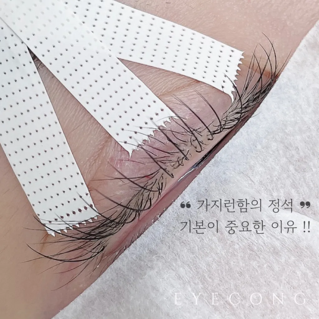 이미지 3