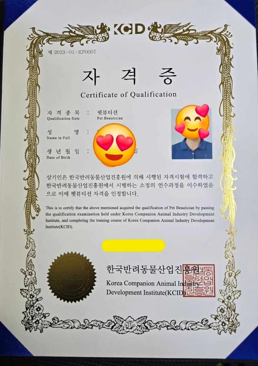 이미지 7
