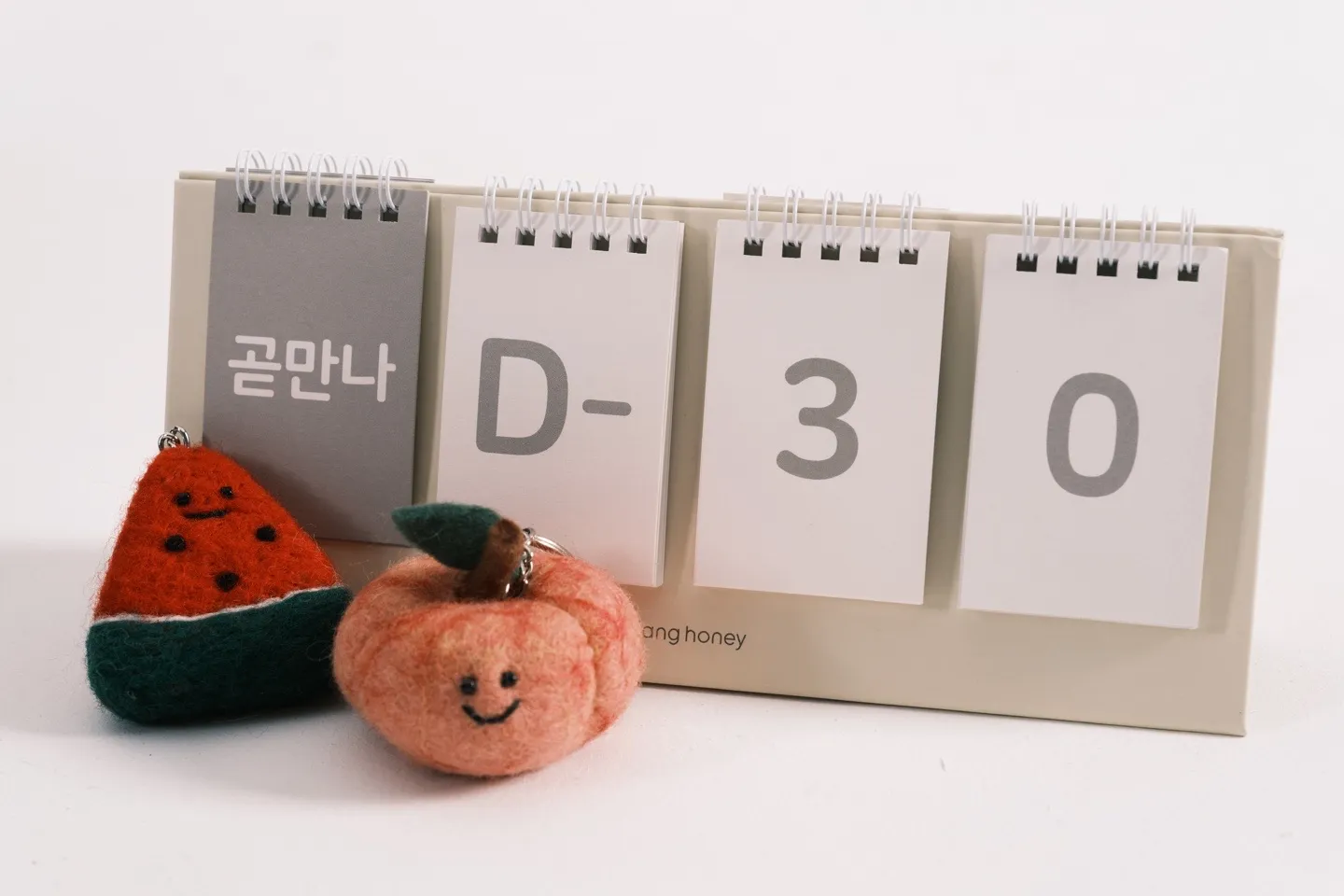 이미지 14