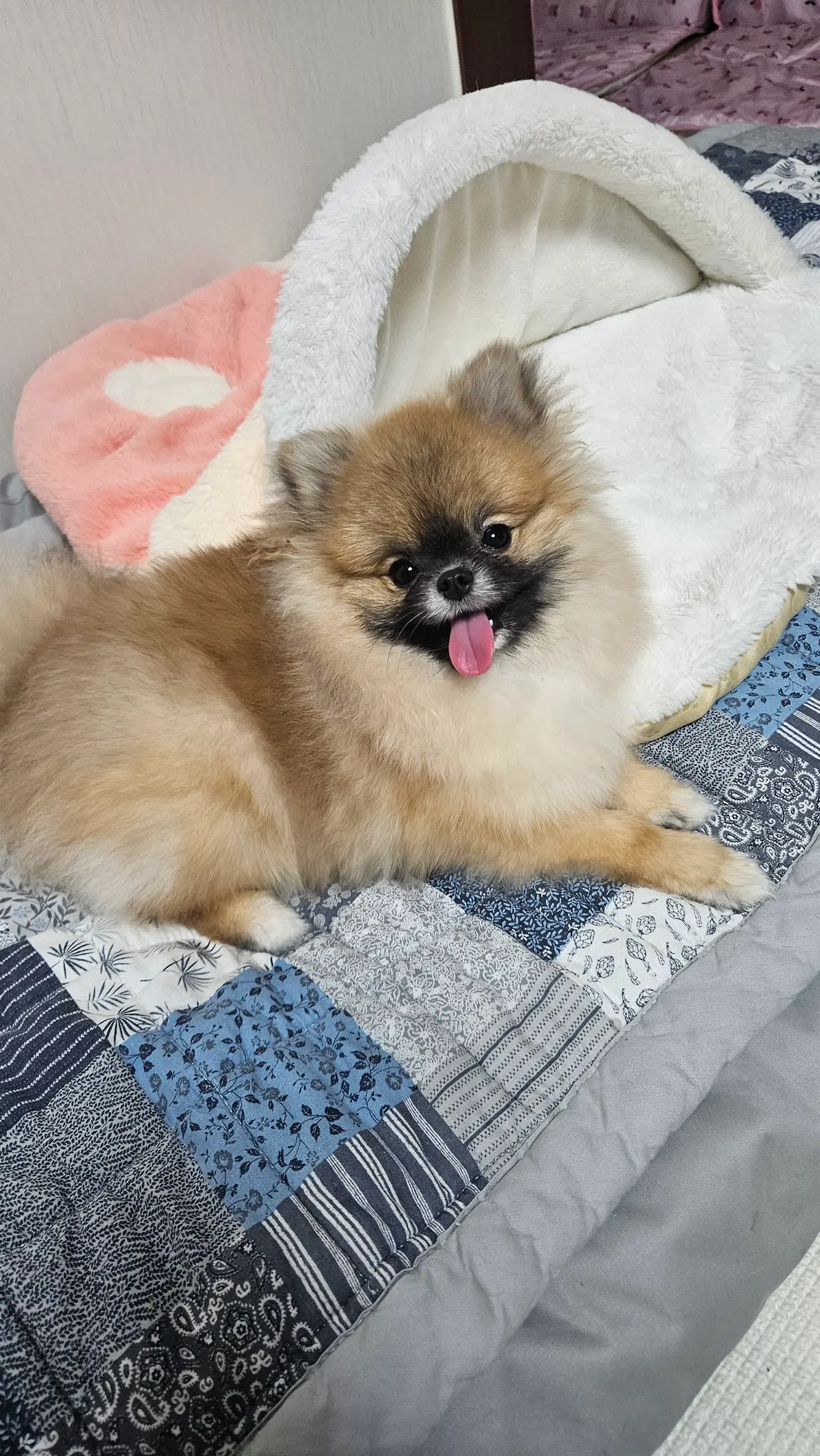 이미지 2