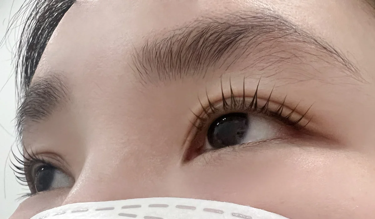 이미지 6