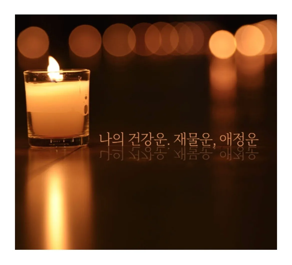 이미지 5
