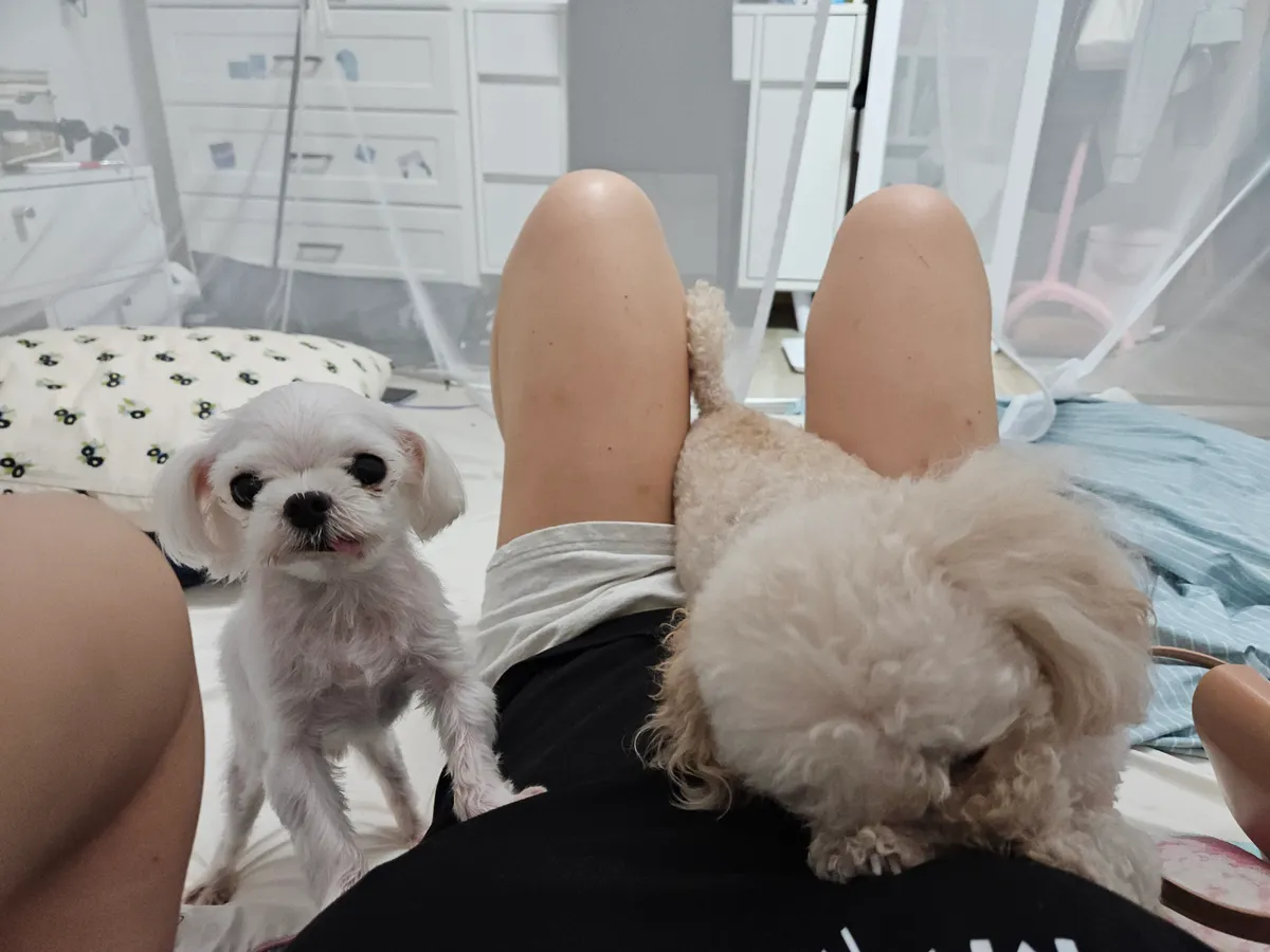 이미지 6