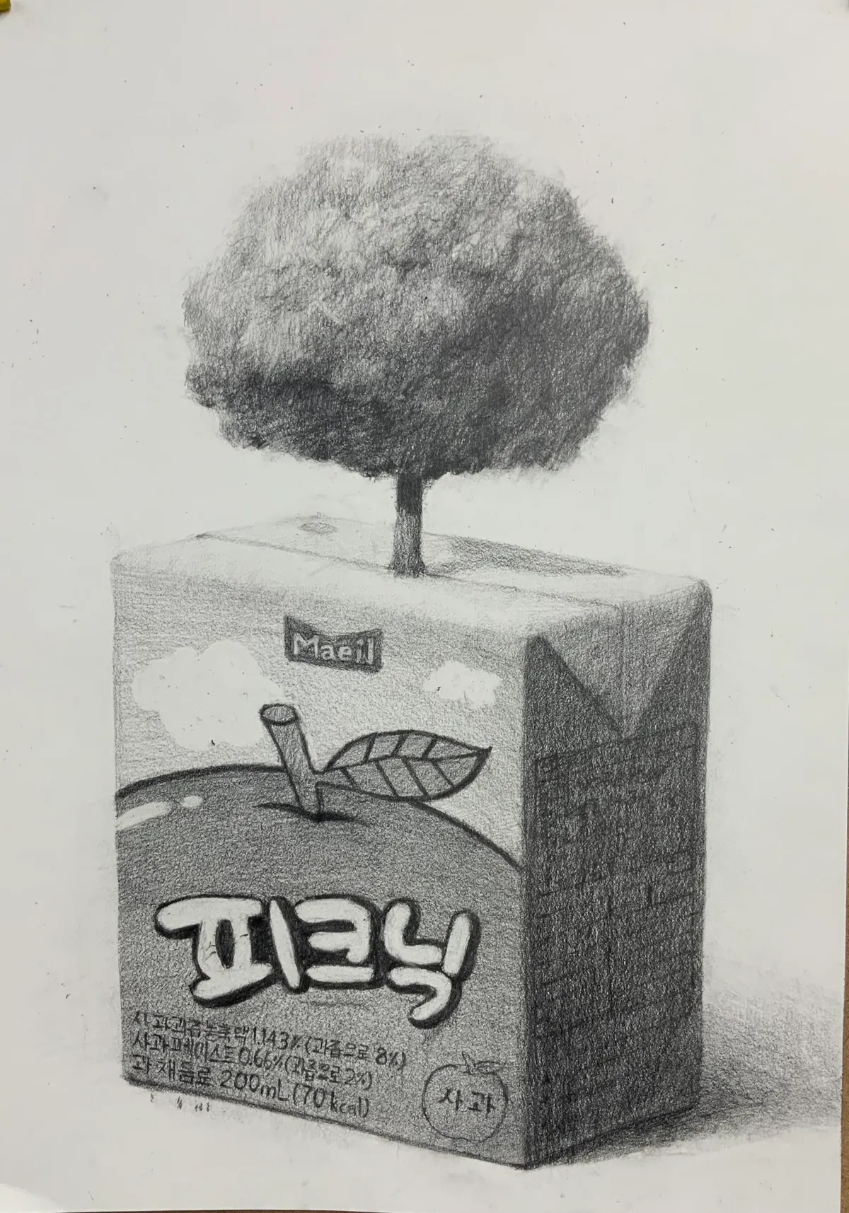 이미지 10