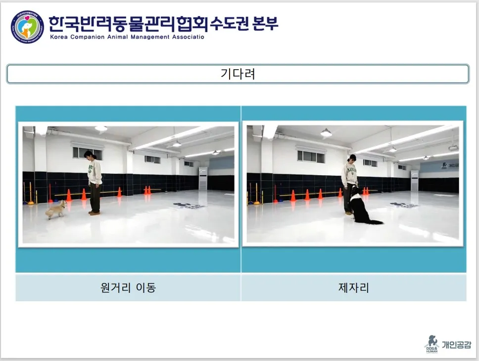 이미지 9