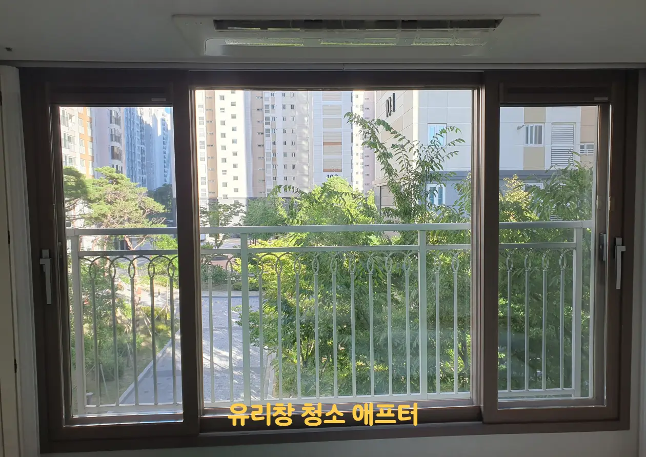 이미지 12