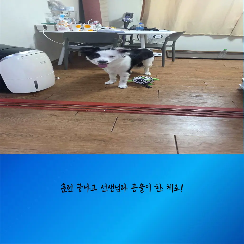 이미지 6