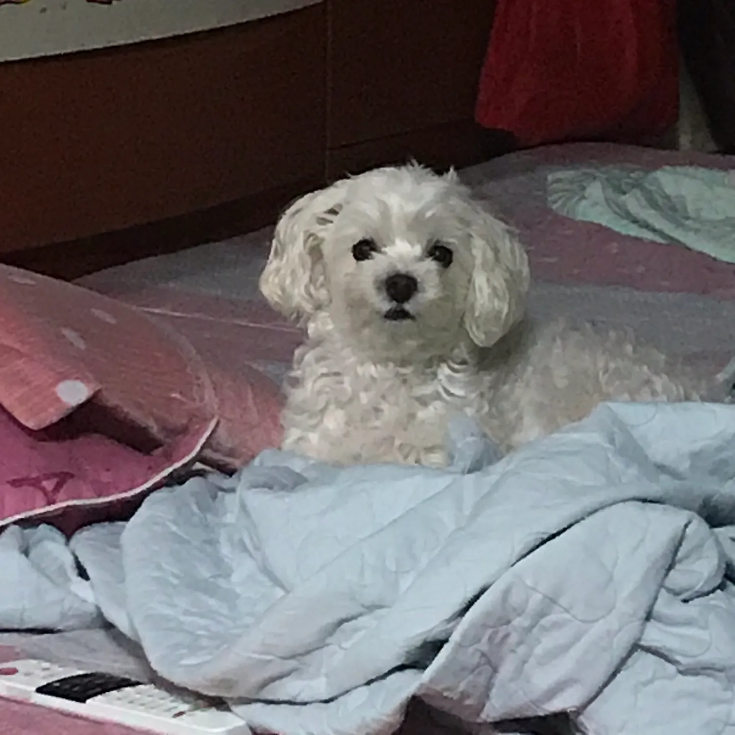 이미지 2