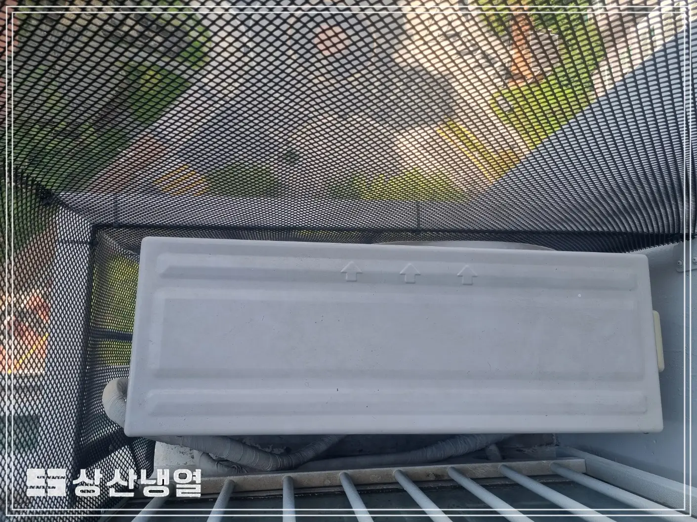 이미지 8