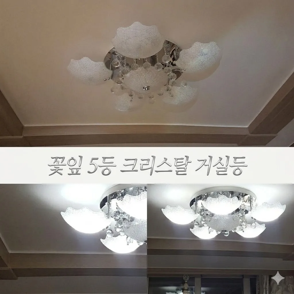 이미지 15