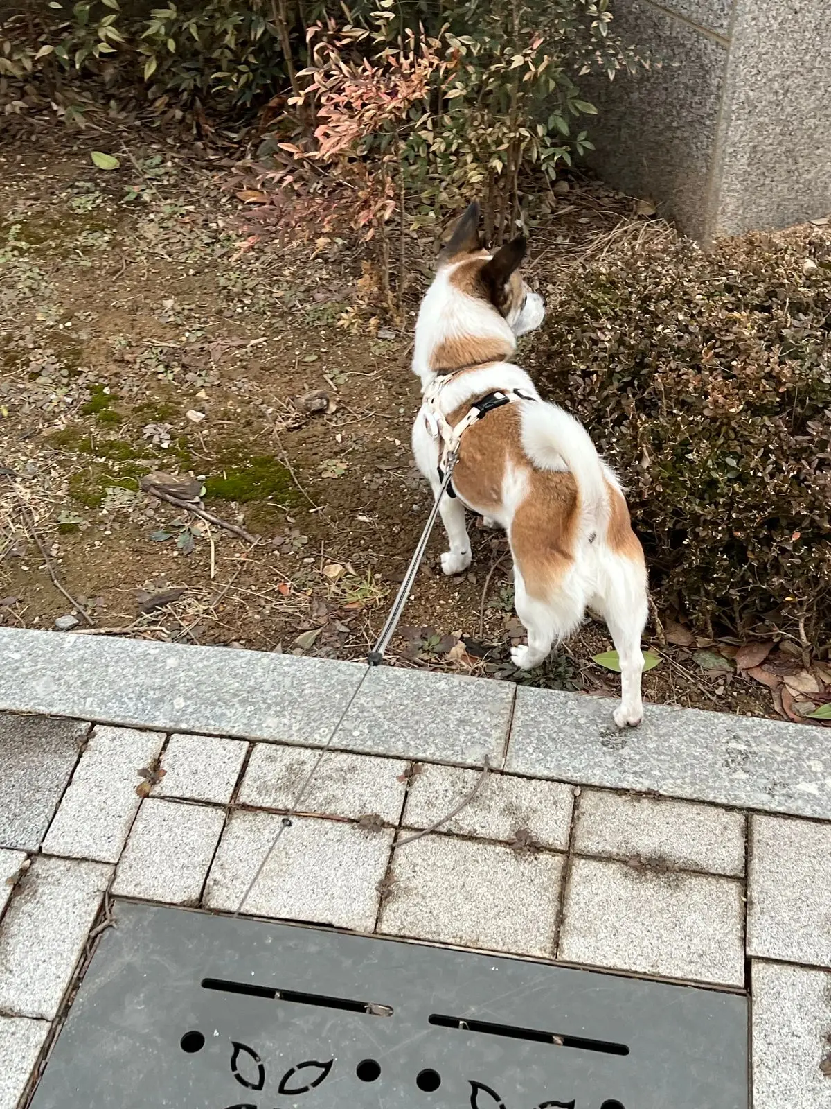 이미지 7
