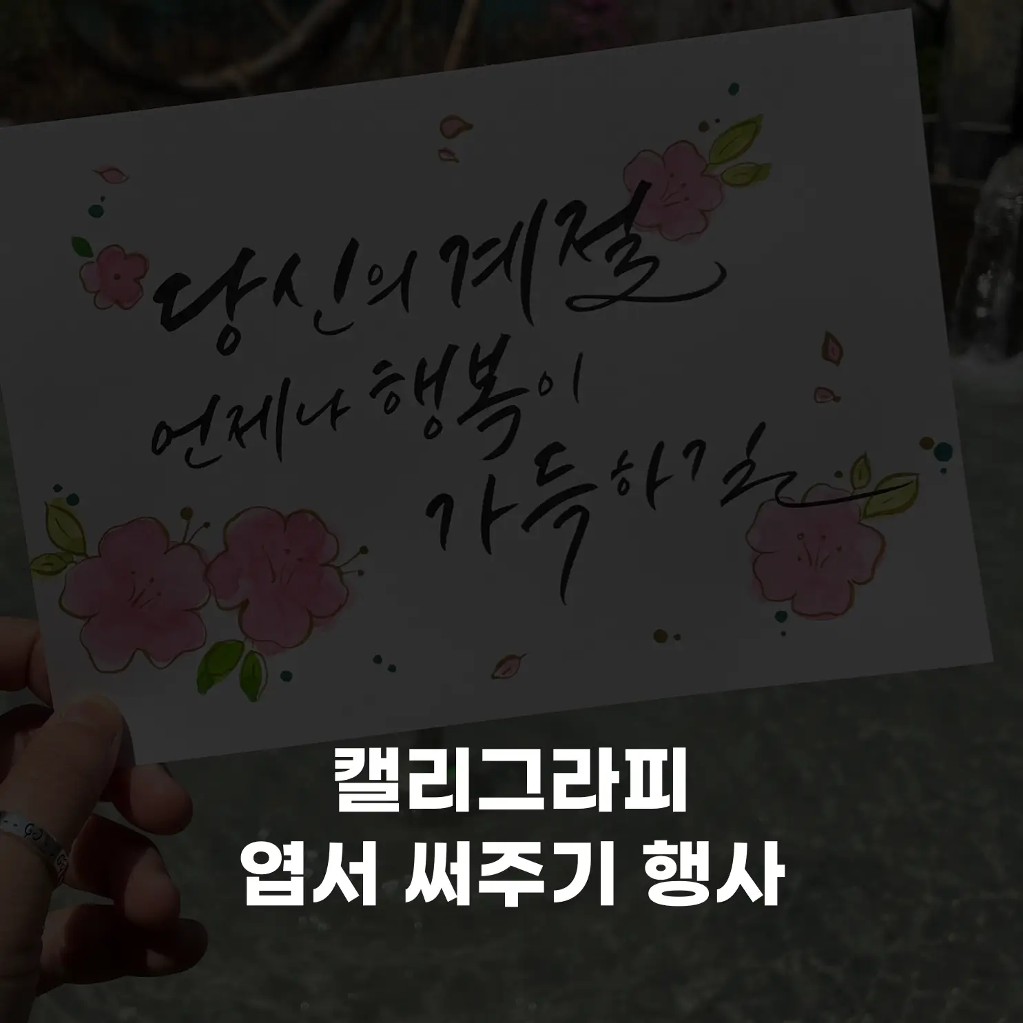 포트폴리오 이미지