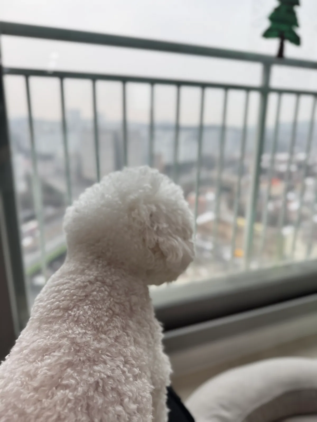 이미지 10