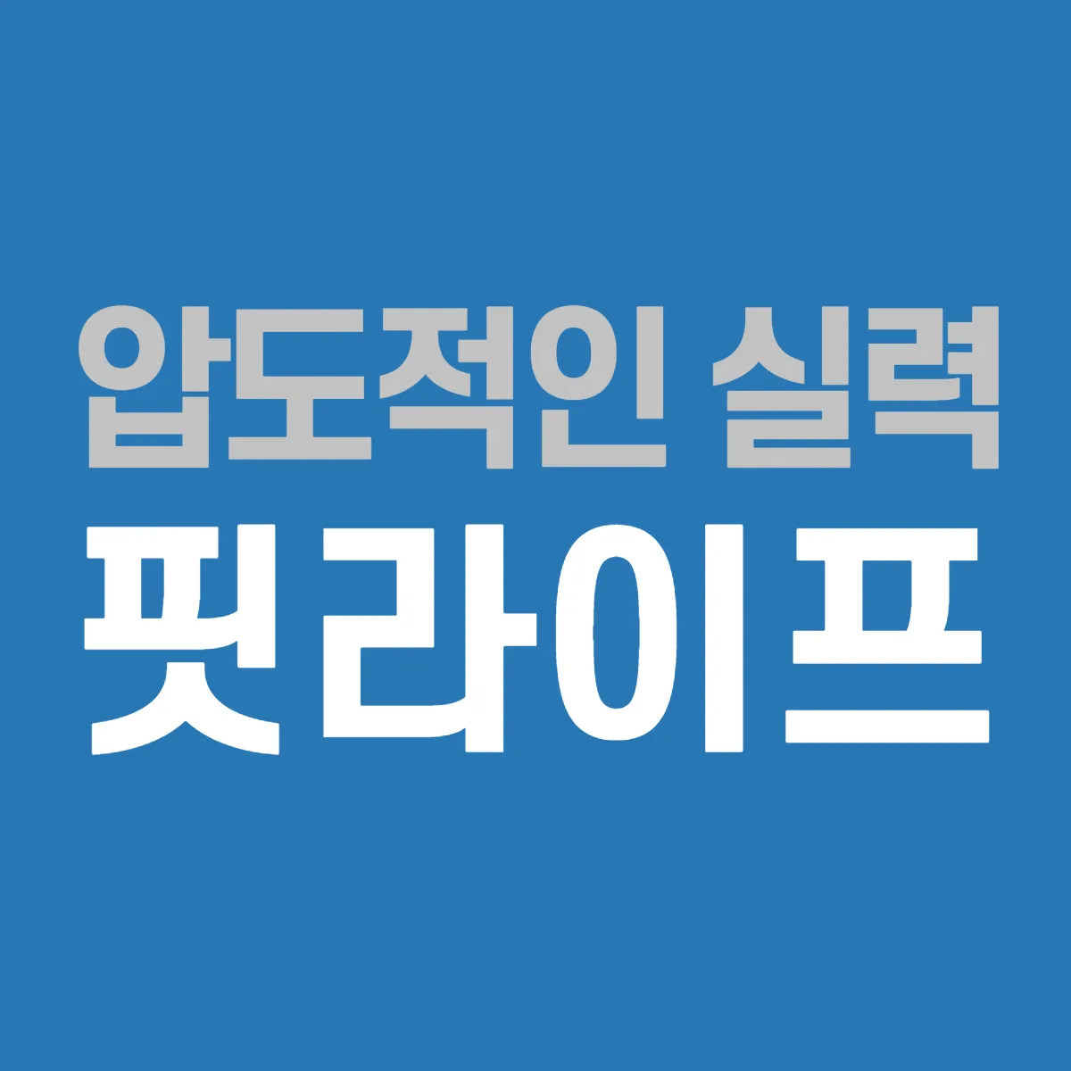 포트폴리오 이미지