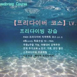 PADI【프리다이버】해양레벨 LV.2