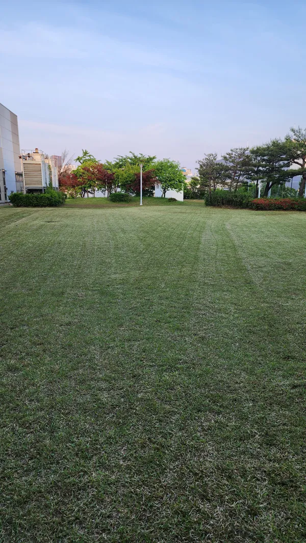 이미지 5