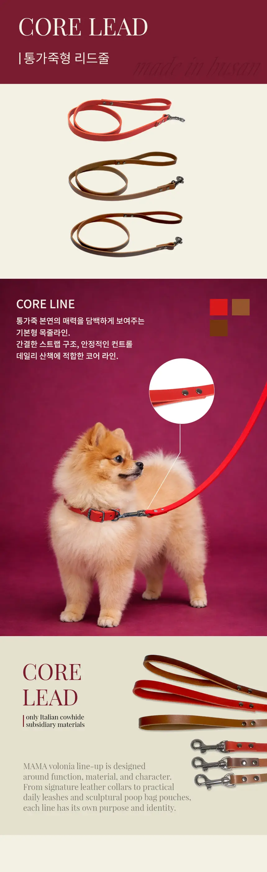 이미지 8