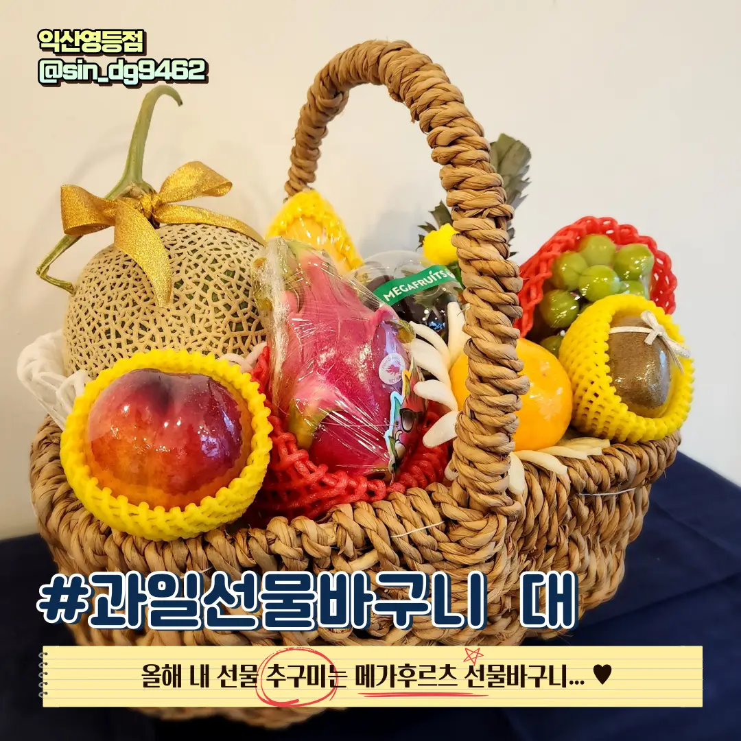 이미지 7