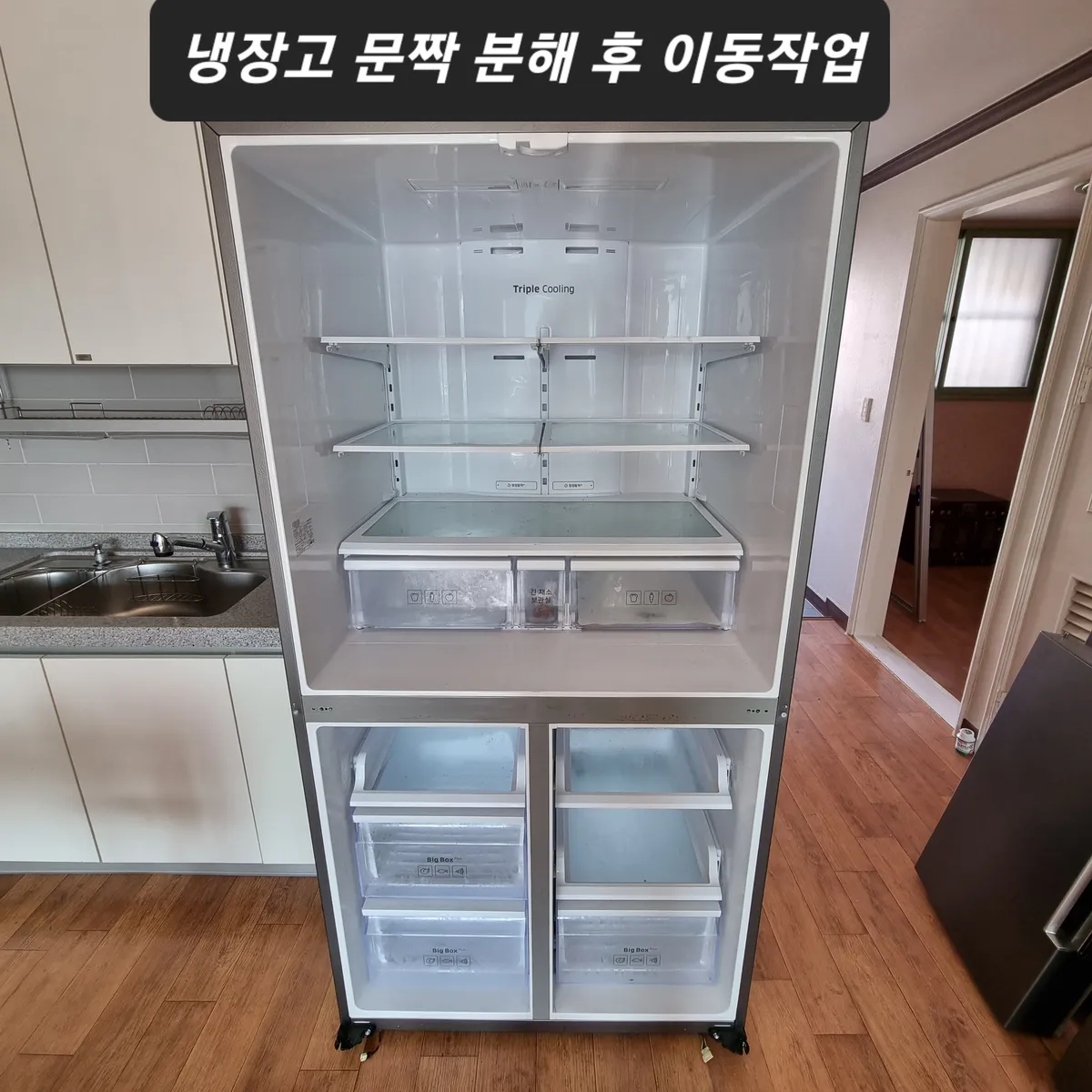 이미지 5