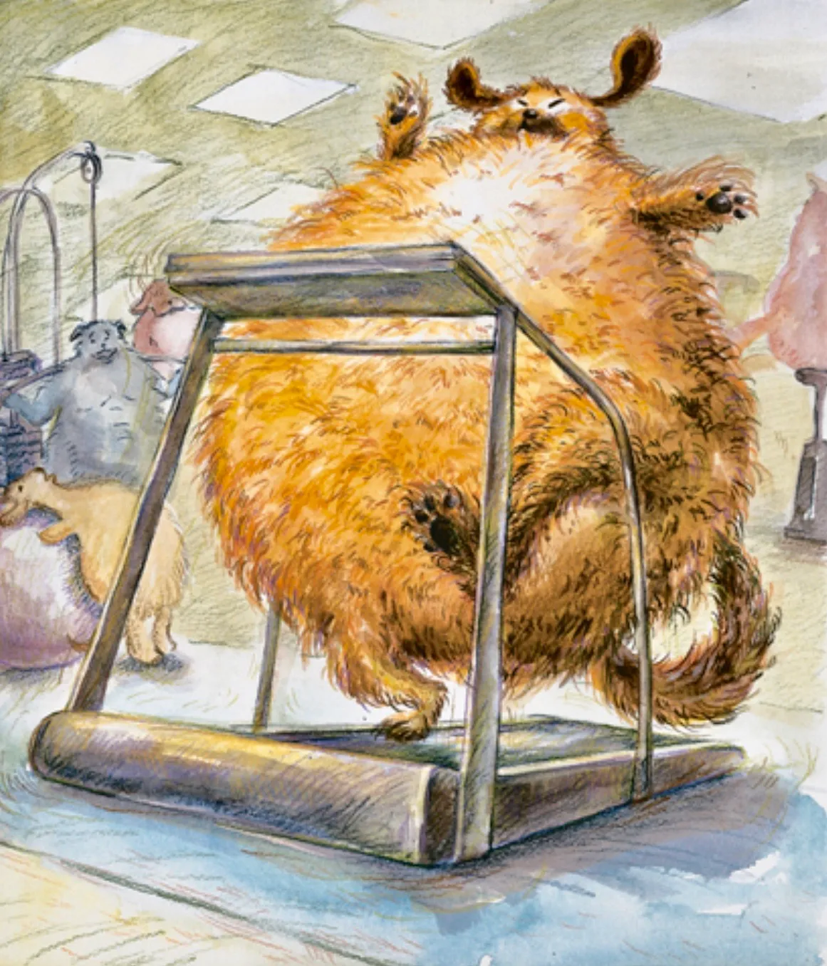 이미지 20
