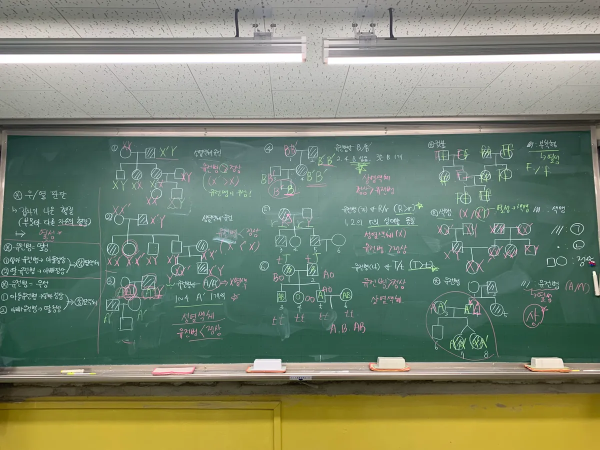 이미지 11
