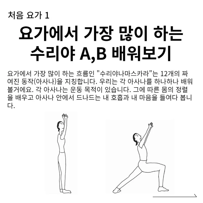 이미지 5