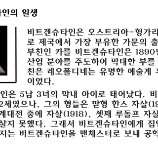 비트겐슈타인