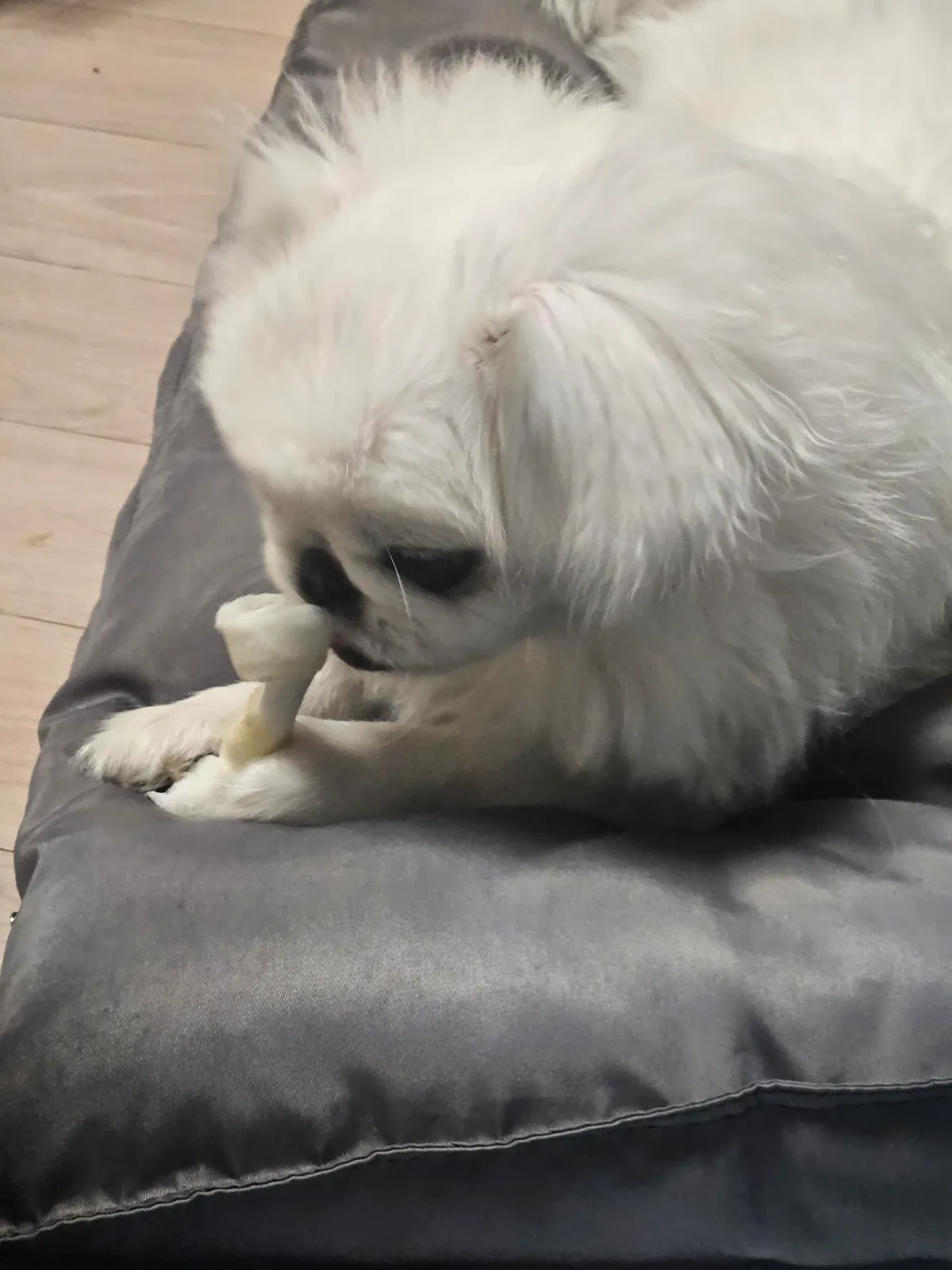 이미지 7