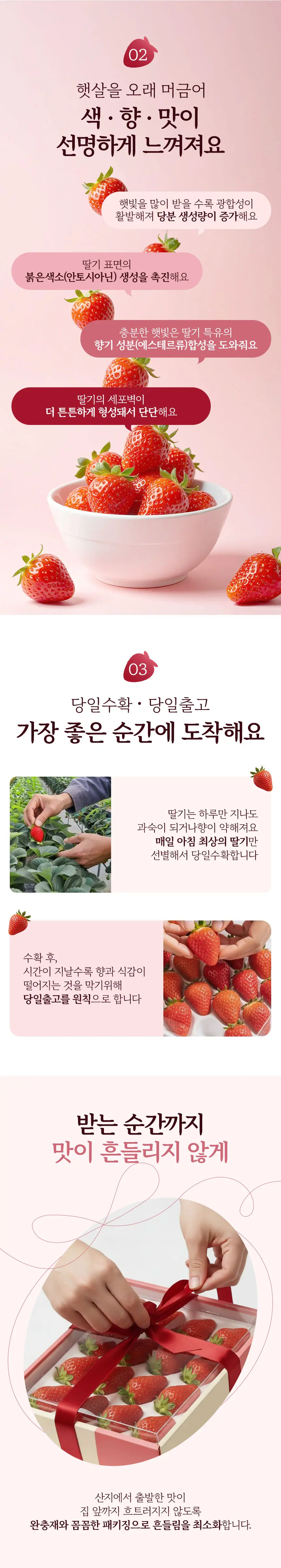 이미지 8